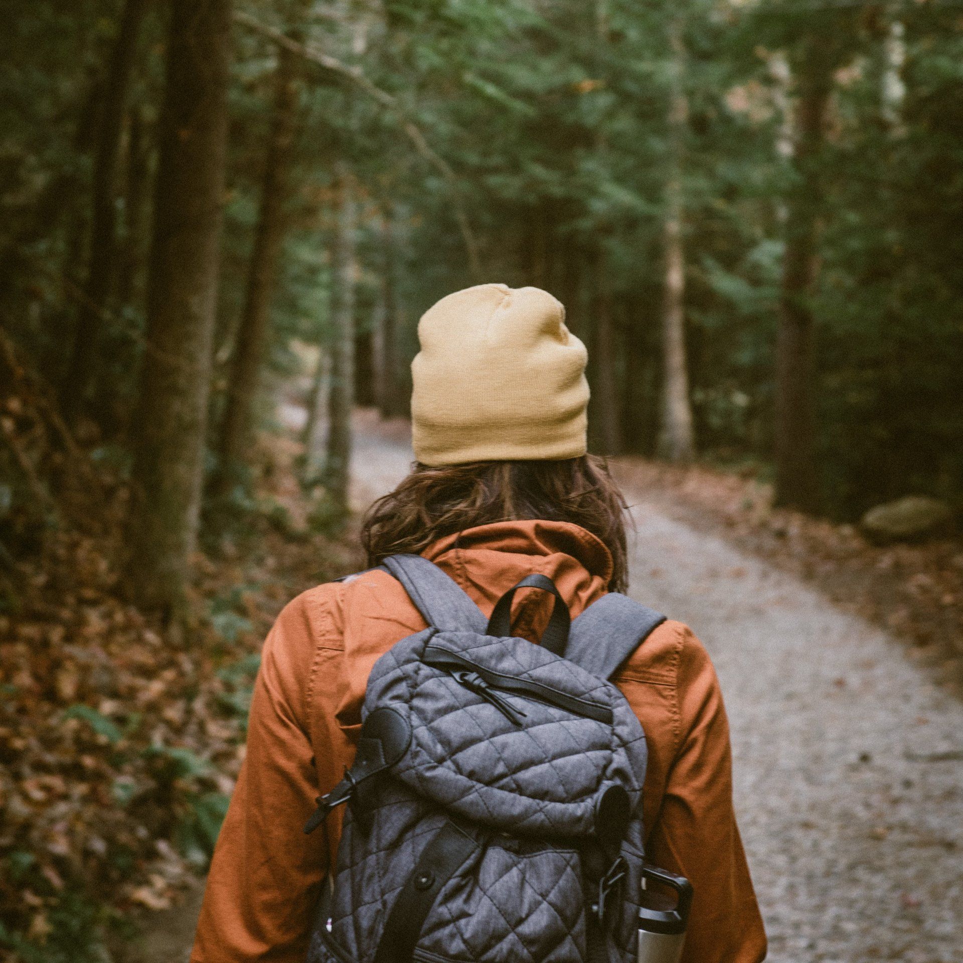 Photo of a person hiking through the forest