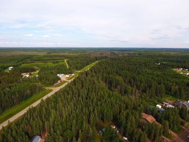 Aerial shot of the forest