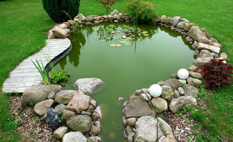 Ponds and water features