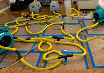 flood pumping - residential carpet cleaning in Rigby, ID