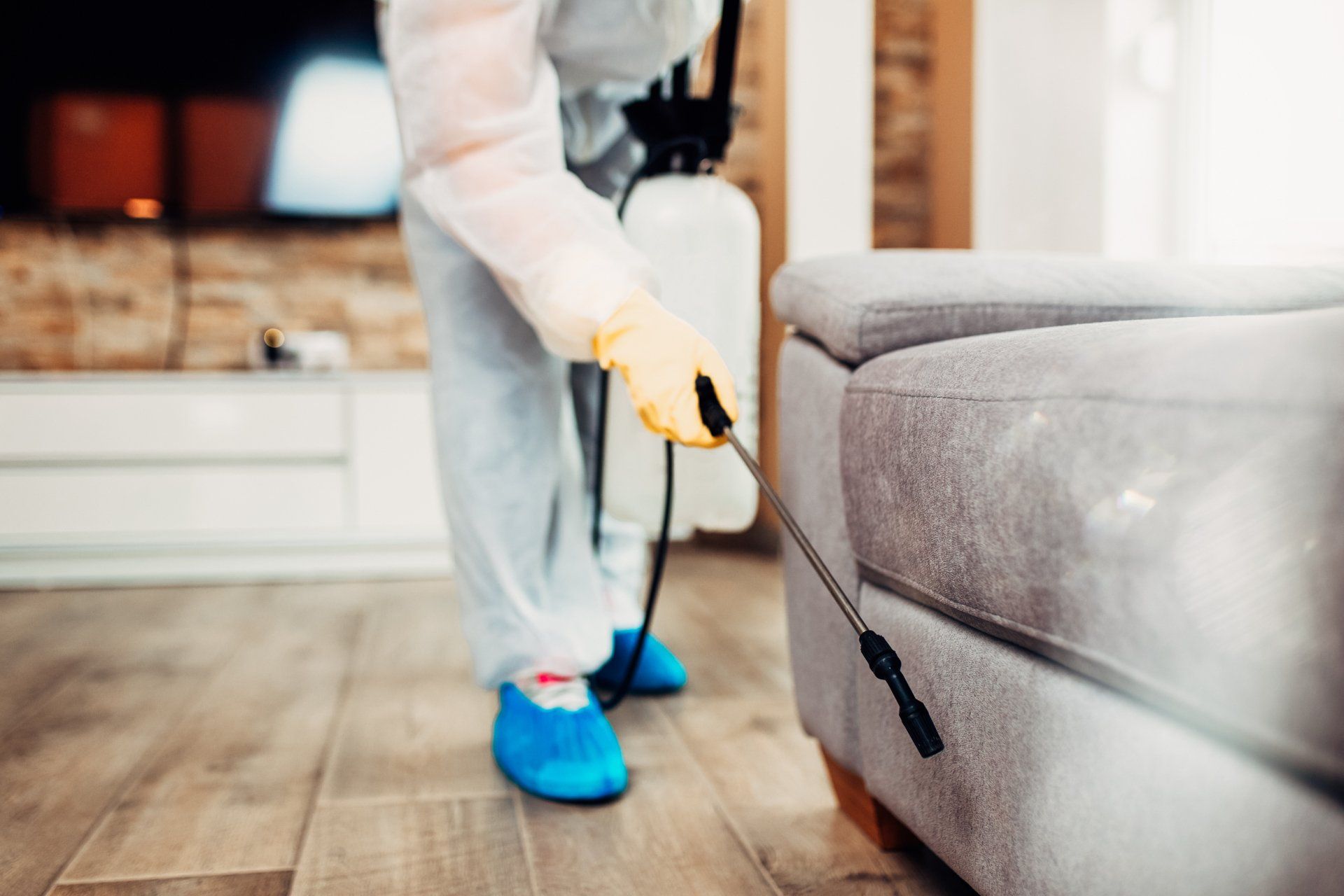 Bed Bugs Hide in the Crevices of Your Mid-Missouri Home. Call Atkins Pest Control for an Inspection.