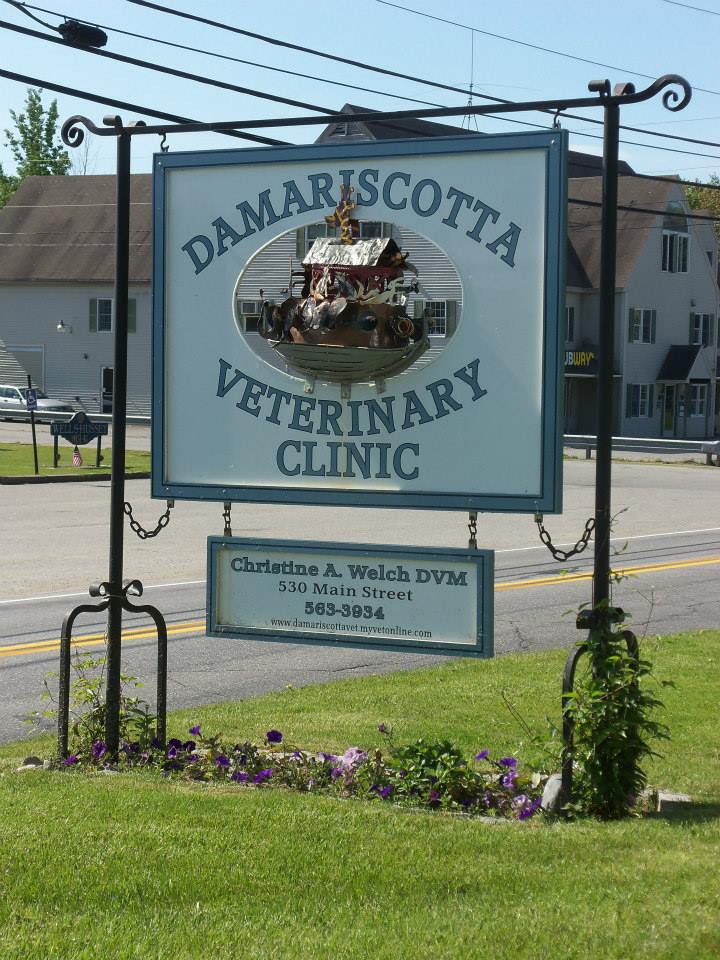 Veterinary Clinic Sign Boothbay & Damariscotta, ME