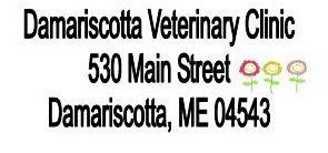 Best Veterinarian Boothbay & Damariscotta, ME