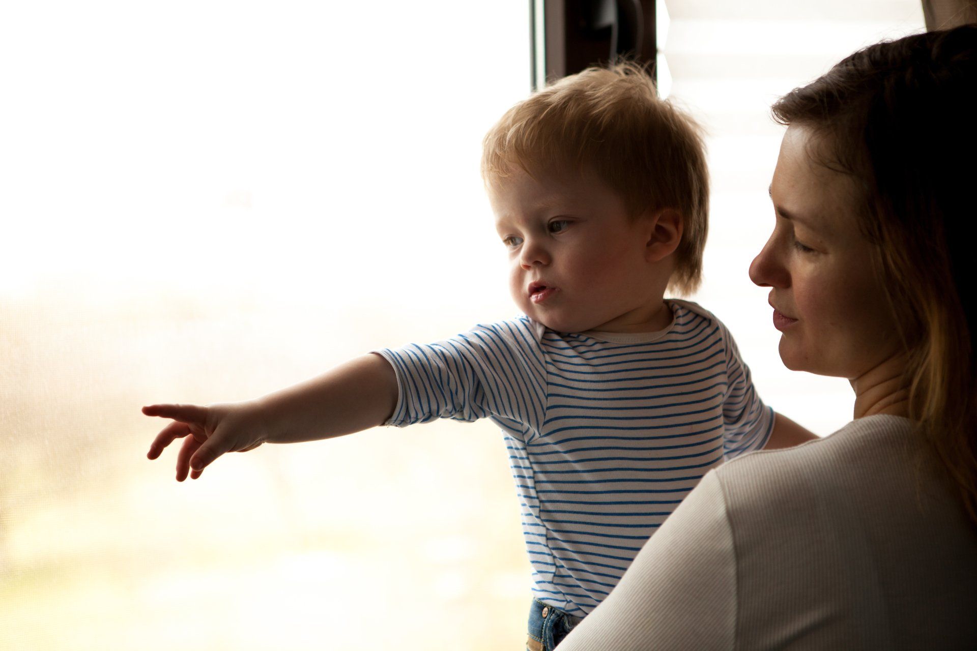 safety and security window film green bay