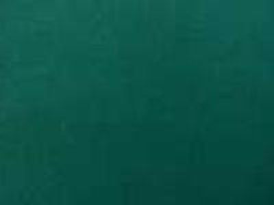 Standard Green Premier Cloth