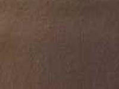 Camel Premier Cloth