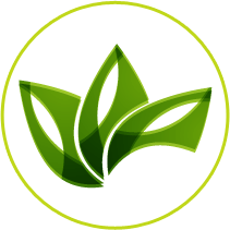 Noel's Tree & Crane Service Inc Noel's Tree & Crane Service Inc