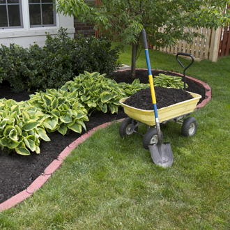 Mulch, Trees in Iowa City, Iowa