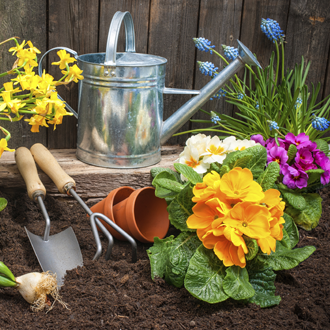 Garden Supplies, Garden Supplies in Iowa City, Iowa Garden Supplies, Garden Supplies in Iowa City, Iowa