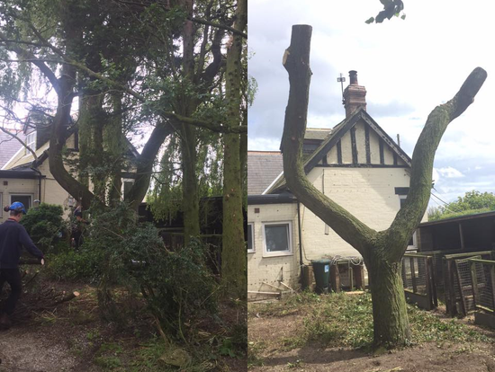 We can help you maintain your grounds