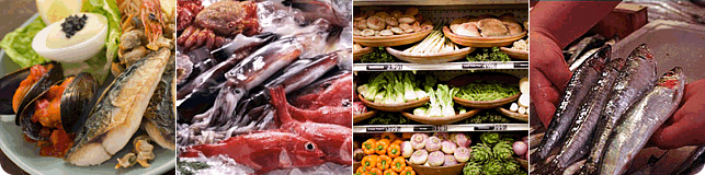 Comercializadora Mar y Campo productos de mar
