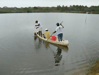 Comercializadora Mar y Campo hombres pescando
