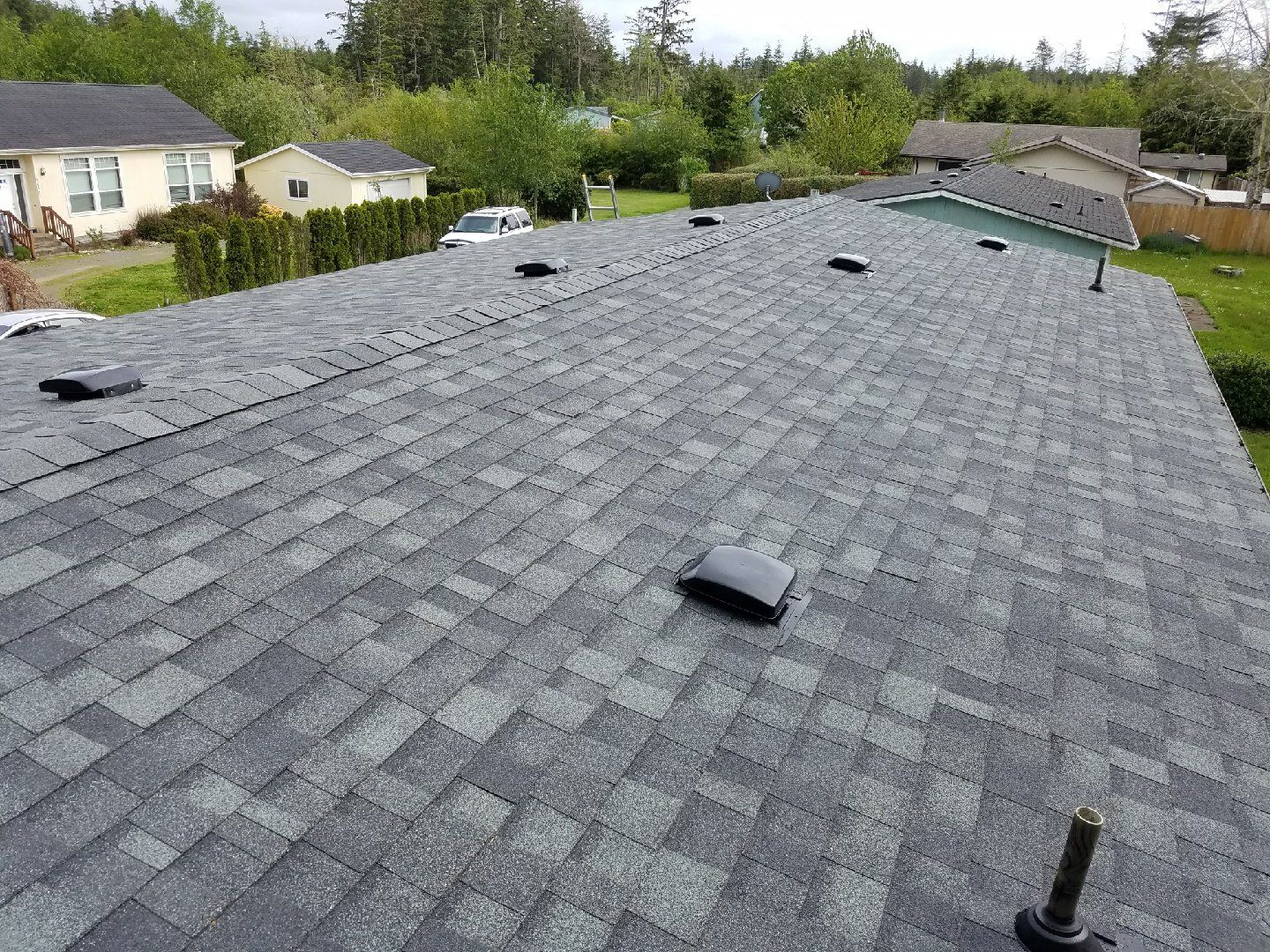 Gray asphalt shingle roof with several black vents and a sunny residential backdrop.