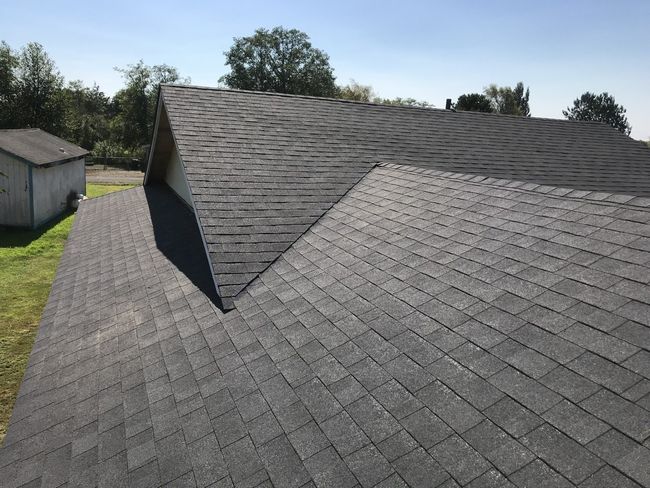Roofing — Roof with Trees on Side in Long Beach, RI Roofing — Roof with Trees on Side in Long Beach, RI
