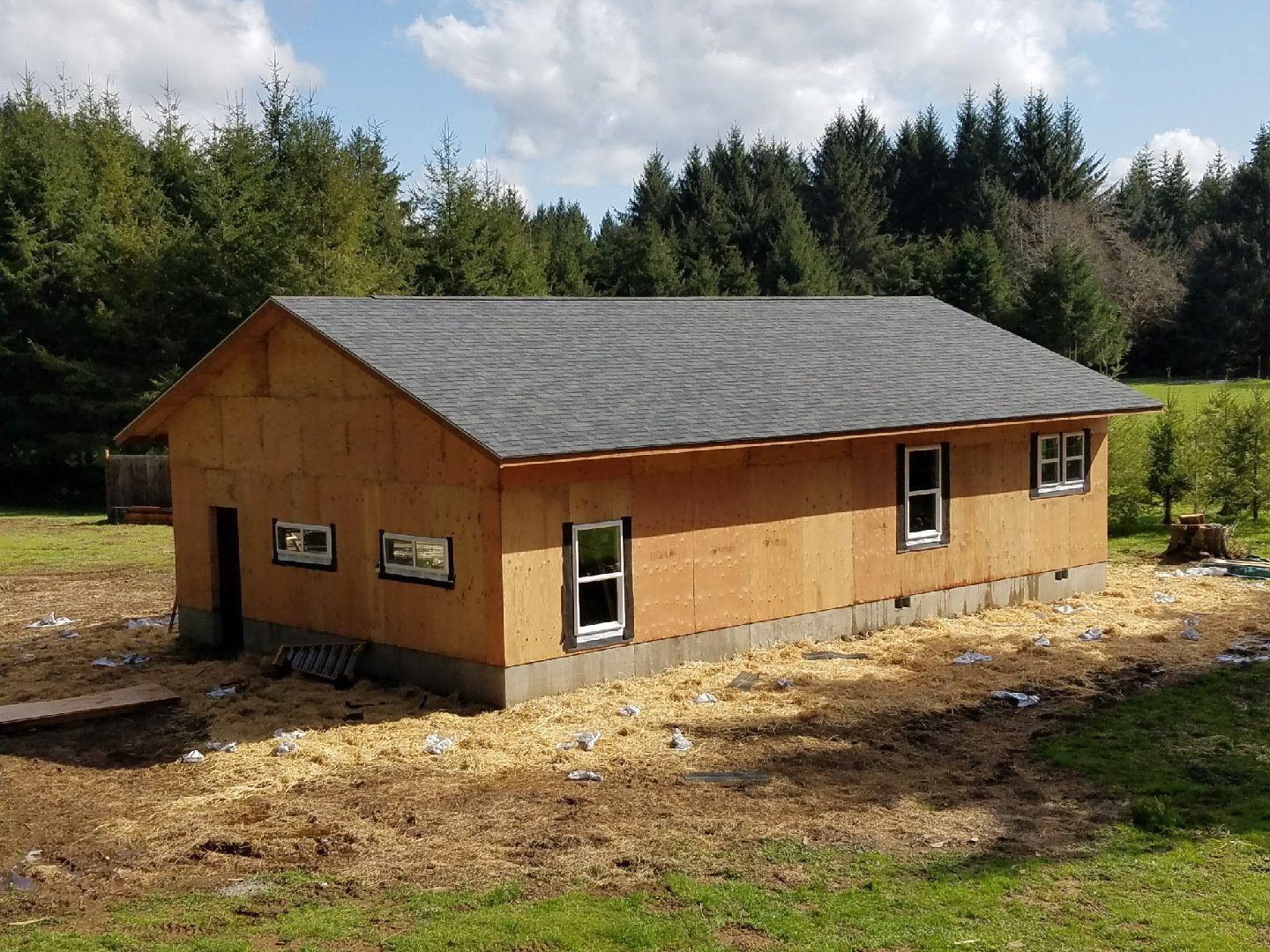 Unfinished wooden building with a dark shingled roof, windows, and a door on a grassy lot.