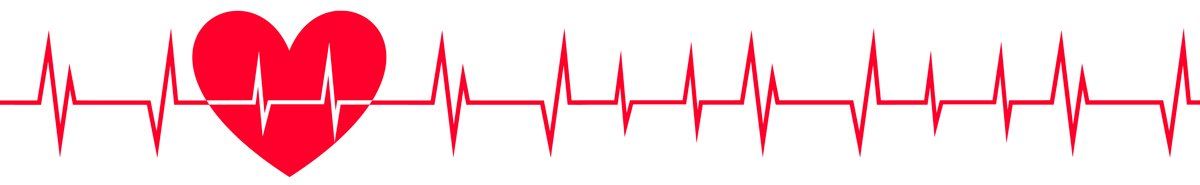 wayne-cardiology-banner wayne-cardiology-banner