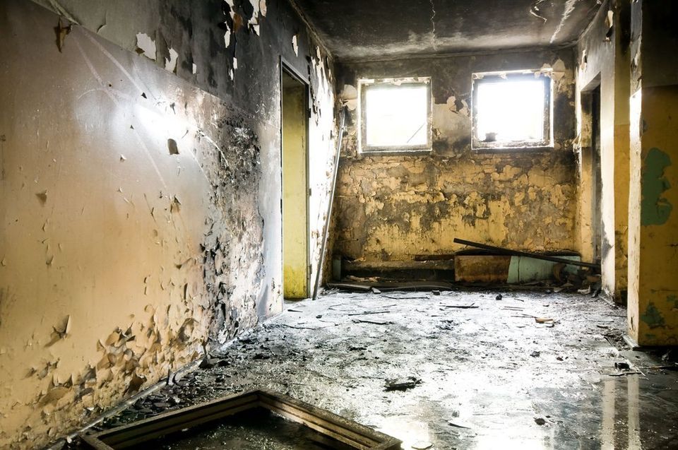 Black water, or category three water damage, is particularly harmful. - Restoration 1 of Morris County