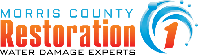 Restoration 1 White Logo