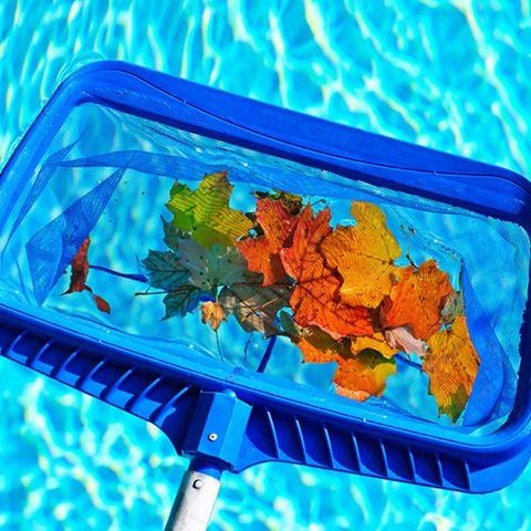 leaf removal