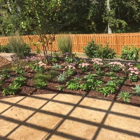 backyard landscaping