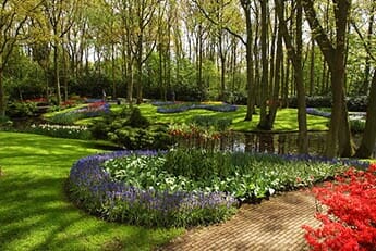 Flower Landscape — Lawn Care in Moseley, VA Flower Landscape — Lawn Care in Moseley, VA