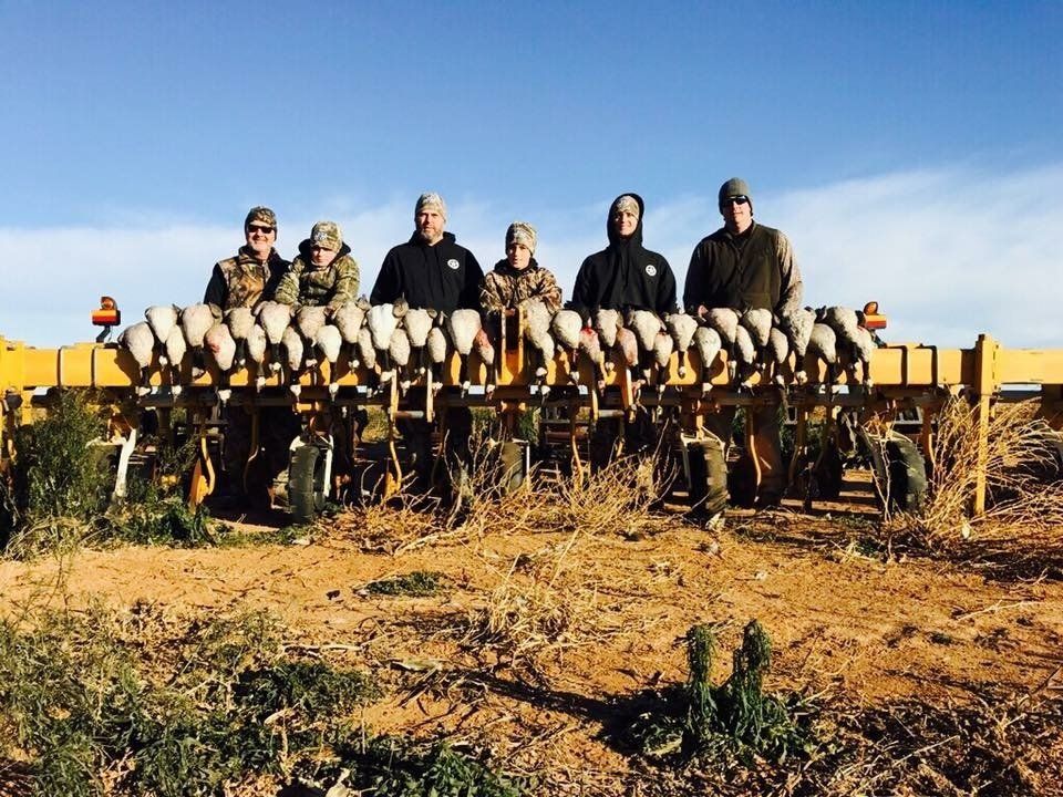 Goose Hunting in Texas