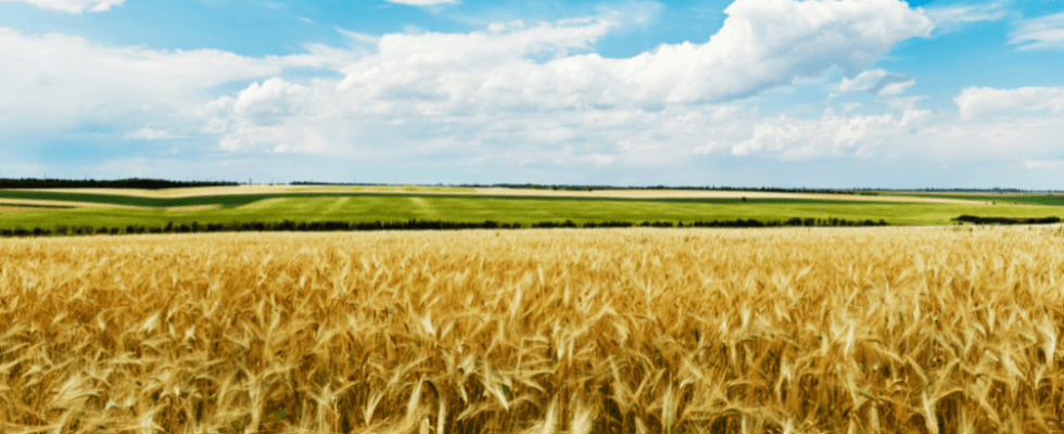 analisi terreni agrari