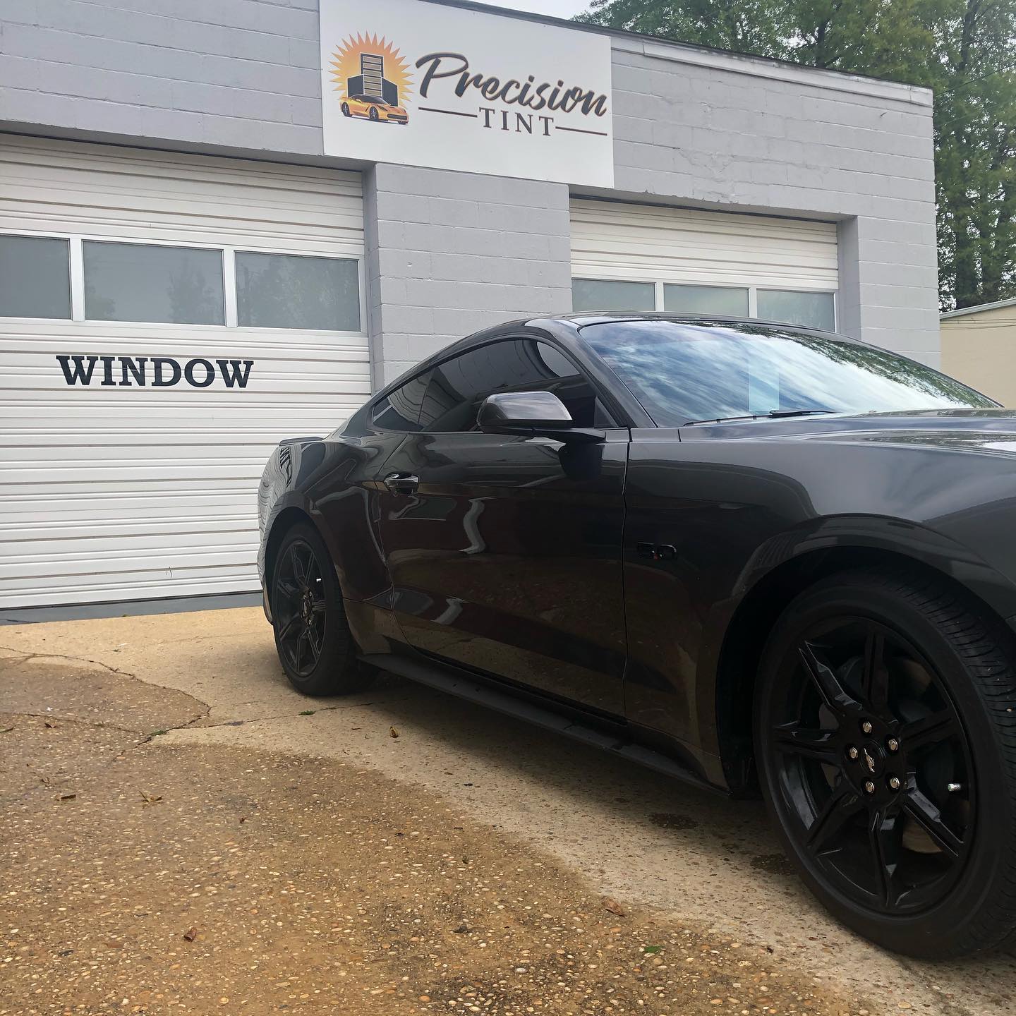 formula one car window tint Tuscaloosa