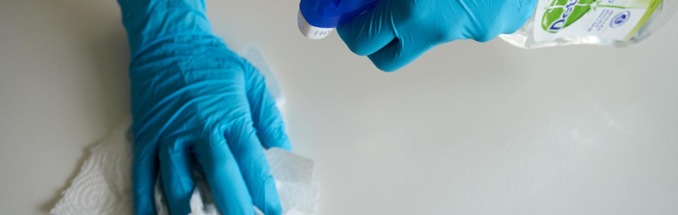 Cleaning With Disinfectant