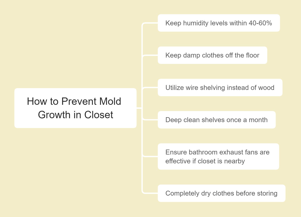 Prevent Closet Mold Graphic