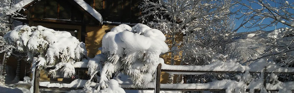 Snowed in Home