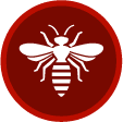Bees/Wasps