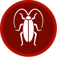 Cockroaches
