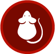Mice & Rodents