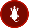 Mole/Vole