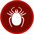 Ticks
