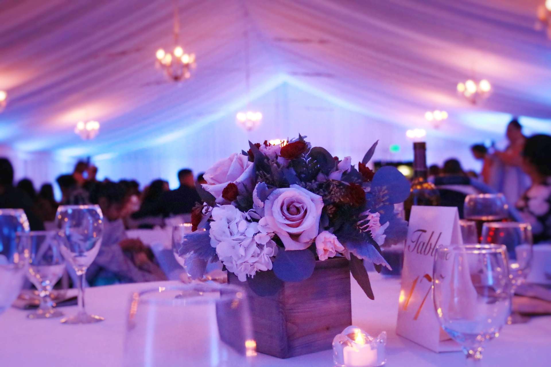 haggin oaks wedding tent uplighting blue wedding