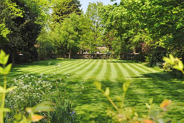 Mowing — Field Of Green Grass in Asheville, NC