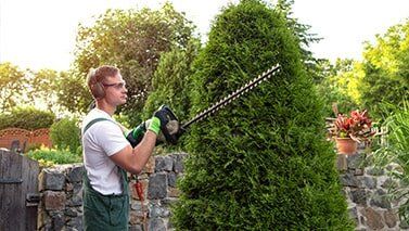 Tree Service — Worker Trimming A Tree in Asheville, NC Tree Service — Worker Trimming A Tree in Asheville, NC