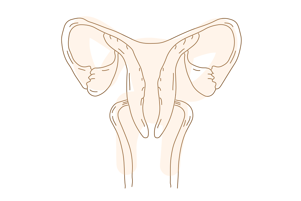 Fertility, menstrual issues, pre & post pregnancy, menopause issues Fertility, menstrual issues, pre & post pregnancy, menopause issues