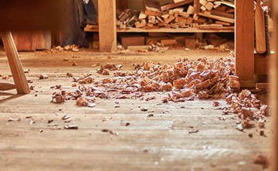 wood shavings
