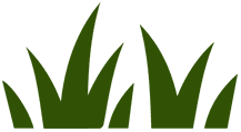 turf icon