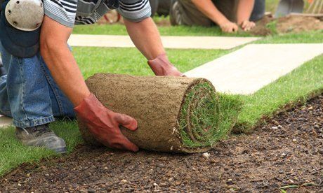 quality turf