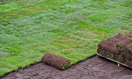 turf laying