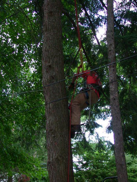 Wire Safety