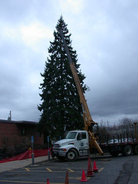 Commercial Removal