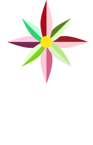A colorful flower with a yellow center on a white background