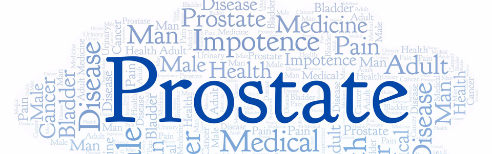 Risikofaktoren für die Entstehung eines Prostatakarzinomes Risikofaktoren für die Entstehung eines Prostatakarzinomes