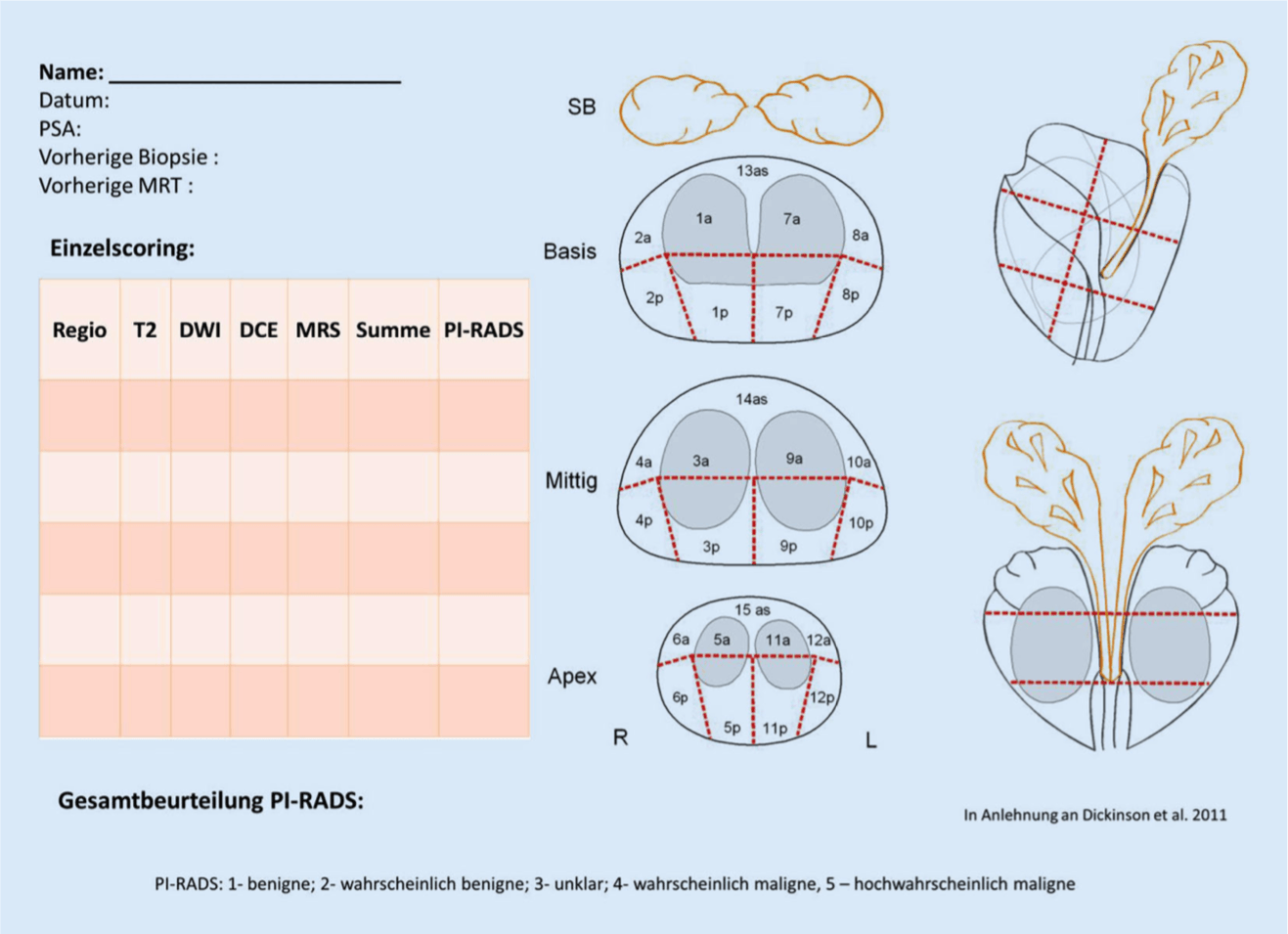 Pirads Dokumentation Deutsch (aus: Röthke 2013) Pirads Dokumentation Deutsch (aus: Röthke 2013)