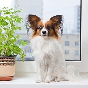 Short and long term stays